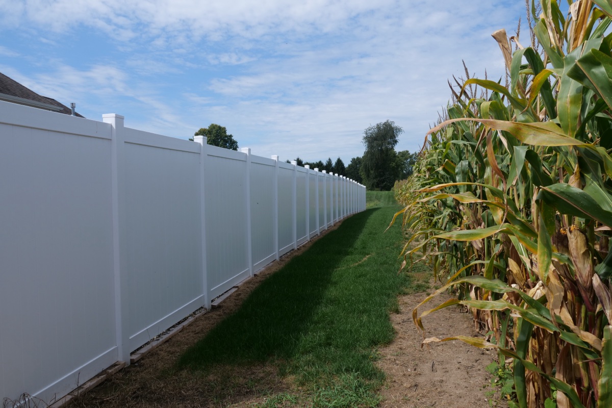 Vinyl fence line in winter conditions for a vinyl versus wood comparison